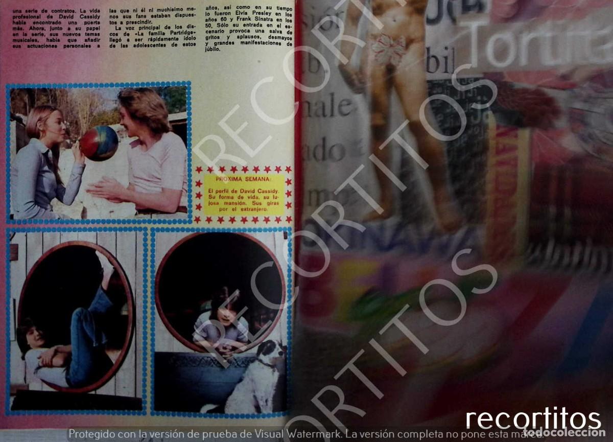 M&uacute;sica de colecci&oacute;n: david cassidy - Foto 2
