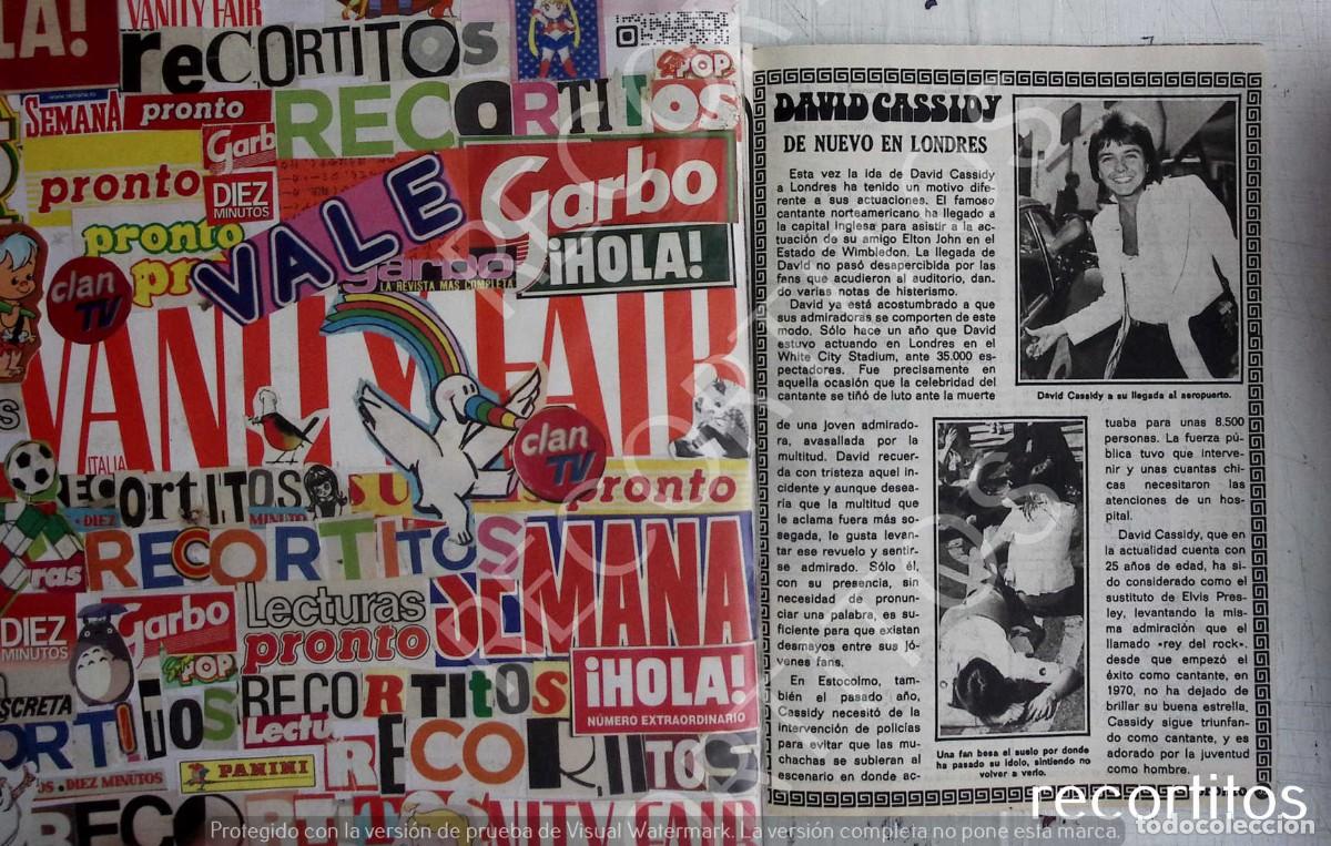 M&uacute;sica de colecci&oacute;n: DAVID CASSIDY CASIDY - Foto 1