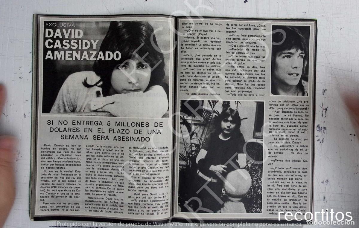 M&uacute;sica de colecci&oacute;n: DAVID CASSIDY - Foto 1