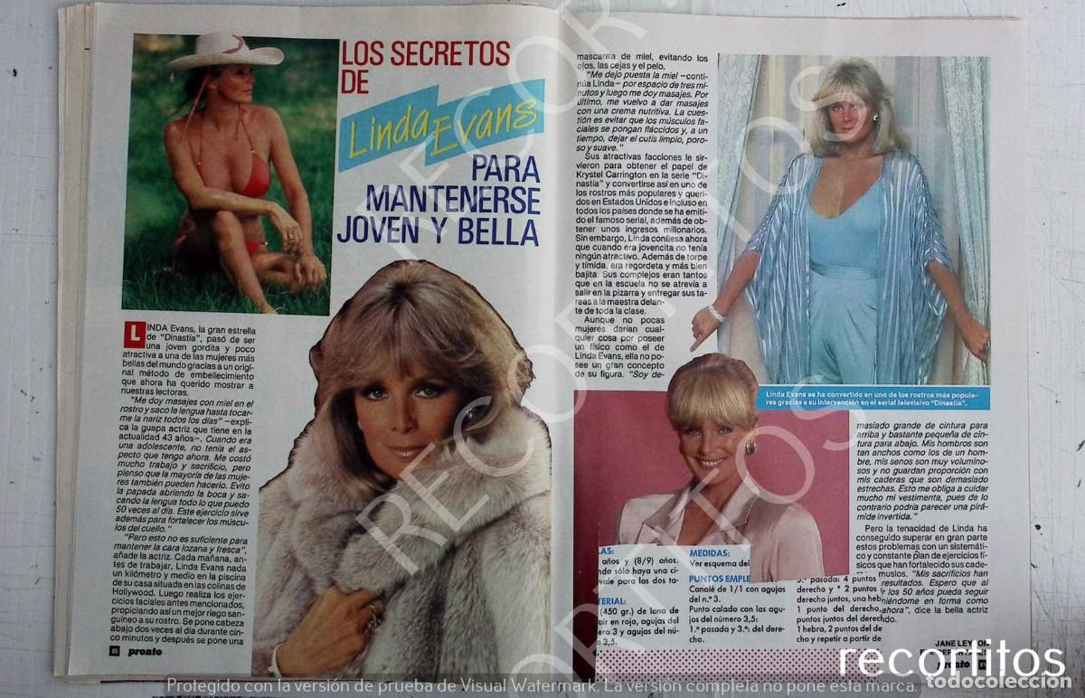 Musique de collection: LINDA EVANS DINASTIA