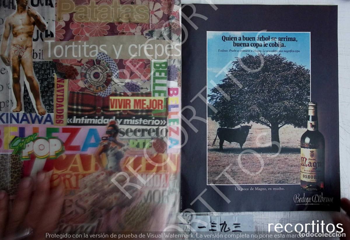 Collectible Music: magno brandy anuncio publicidad