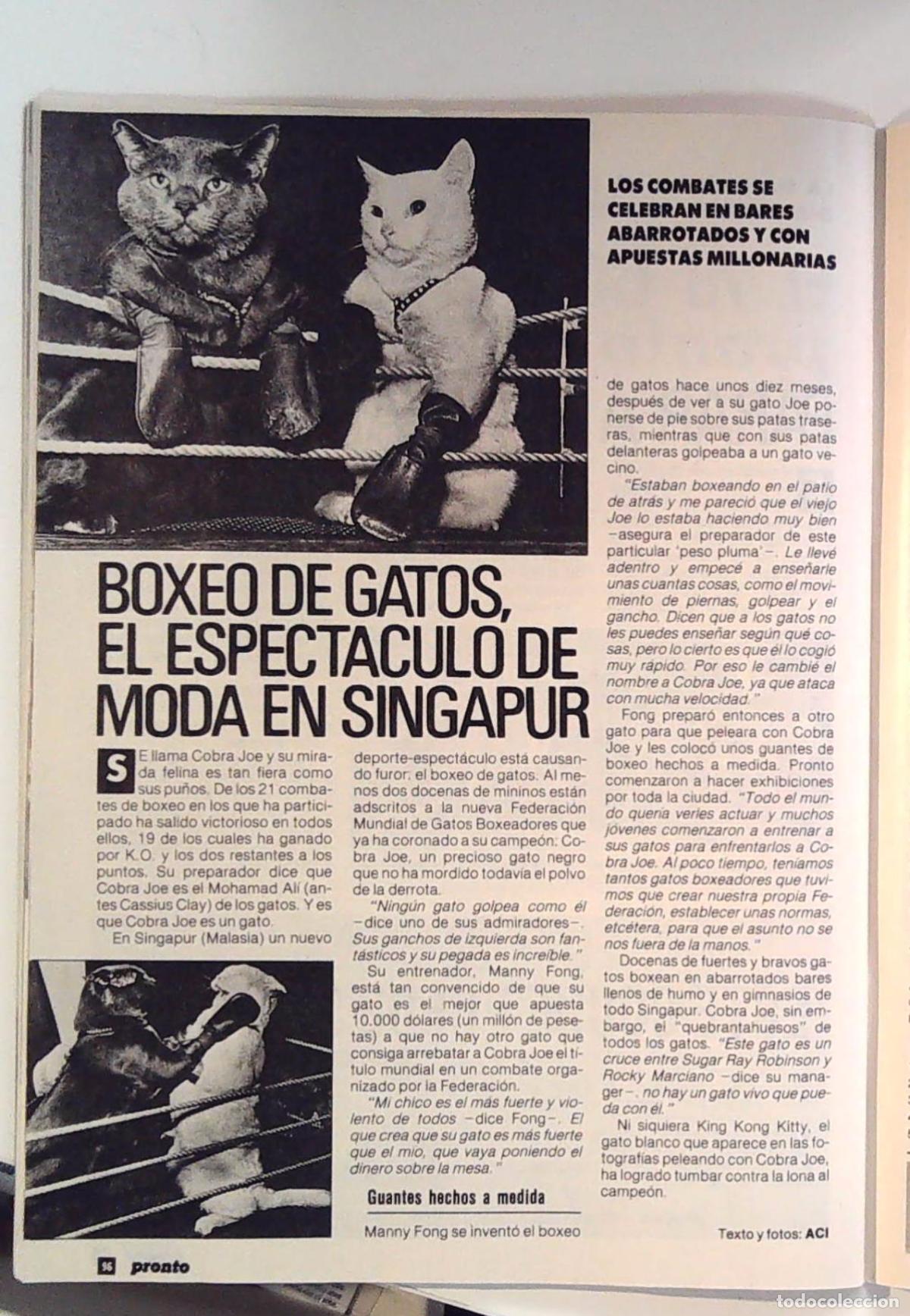 Musiksammlung: BOXEO DE GATOS EN SINGAPUR