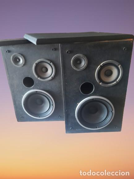 M&uacute;sica de colecci&oacute;n: 2 Bafles de Madera de 3 vias con Reflex - Foto 2