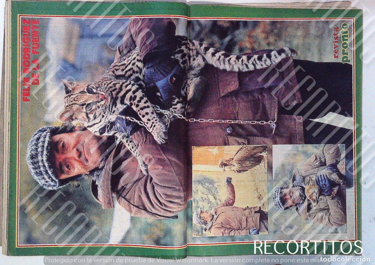 M&uacute;sica de colecci&oacute;n: FELIX RODRIGUEZ DE LA FUENTE POSTER - Foto 1