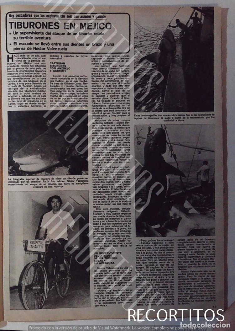 M&uacute;sica de colecci&oacute;n: TIBURON GIGANTE EN MEXICP - Foto 1