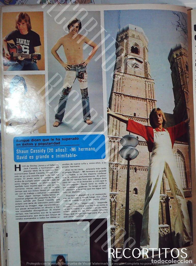 M&uacute;sica de colecci&oacute;n: SHAUN CASSIDY DAVID CASIDY - Foto 1