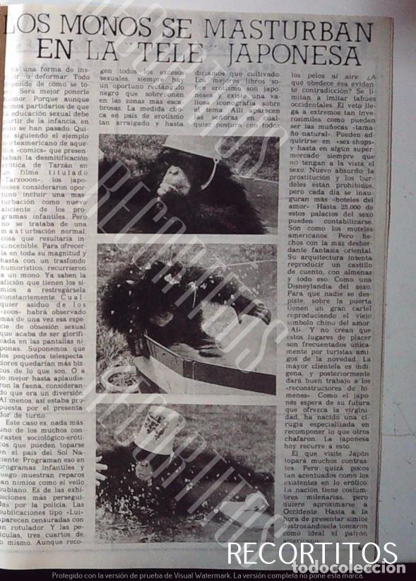 Collectible Music: MONOS MASTURBANDOSE EN LA TELEVISION JAPONESA