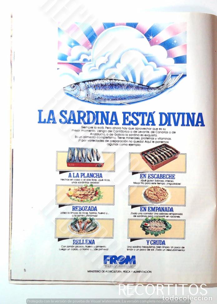 Collectible Music: FROM LA SARDINA ESTA DIVINA ANUNCIO PUBLICIDAD