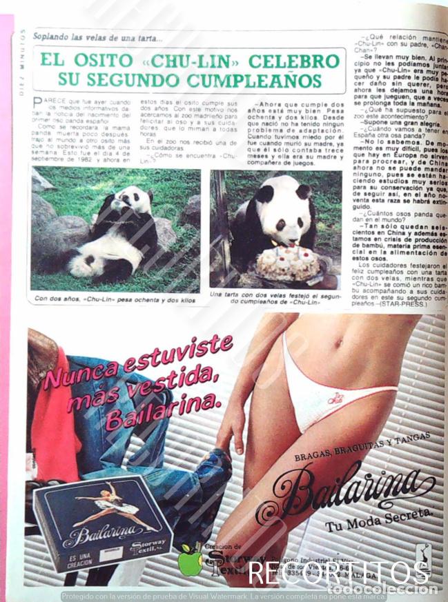 M&uacute;sica de cole&ccedil;&atilde;o: OSO PANDA CHU LIN BRAGUITAS BAILARINA LENCERIA ANUNCIO PUBLICIDAD