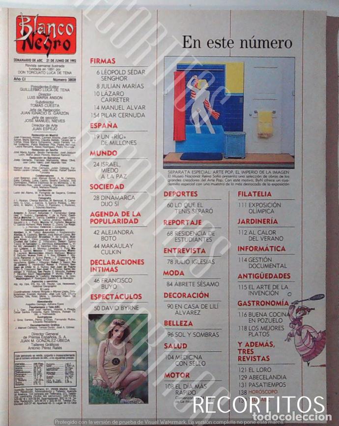 Musica di collezione: ALEJANDRA BOTO POP ART