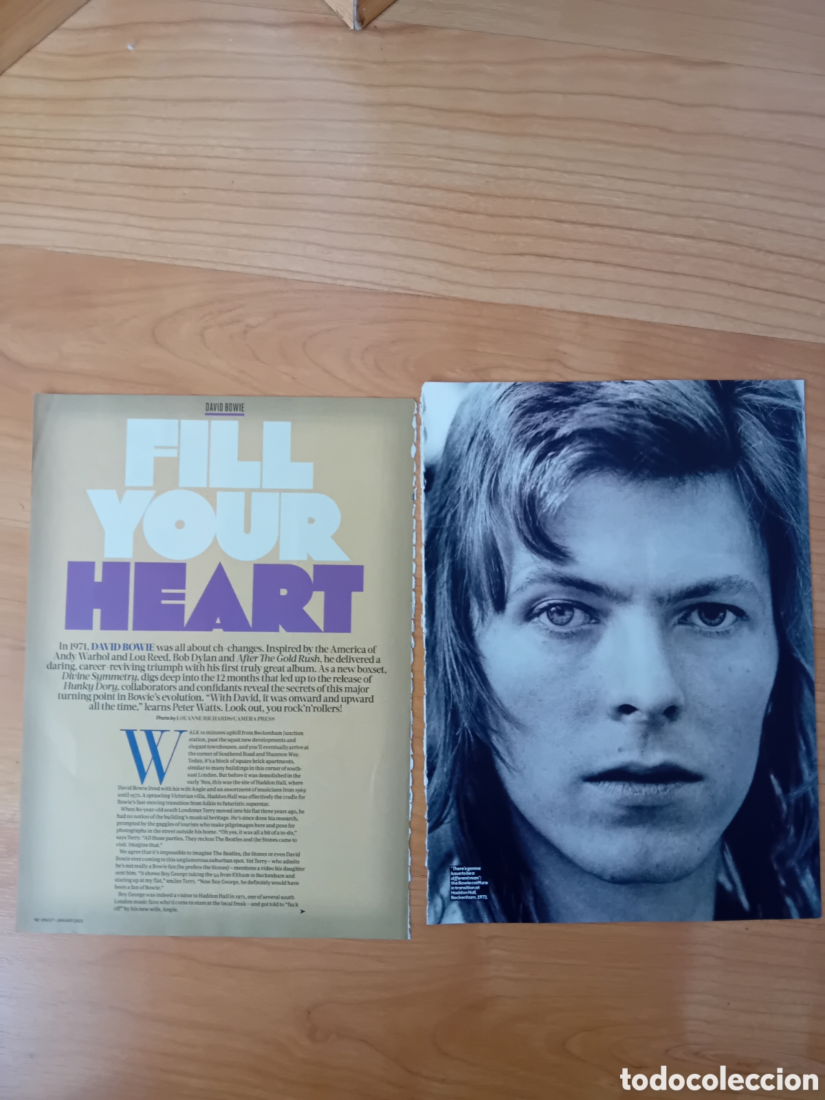 M&uacute;sica de colecci&oacute;n: ARTICULO SOBRE DAVID BOWIE - Foto 1