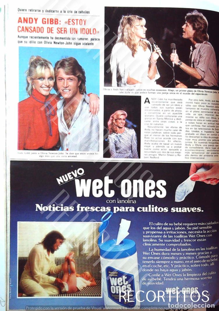 M&uacute;sica de colecci&oacute;n: olivia newton john ANDY GIBB - Foto 1