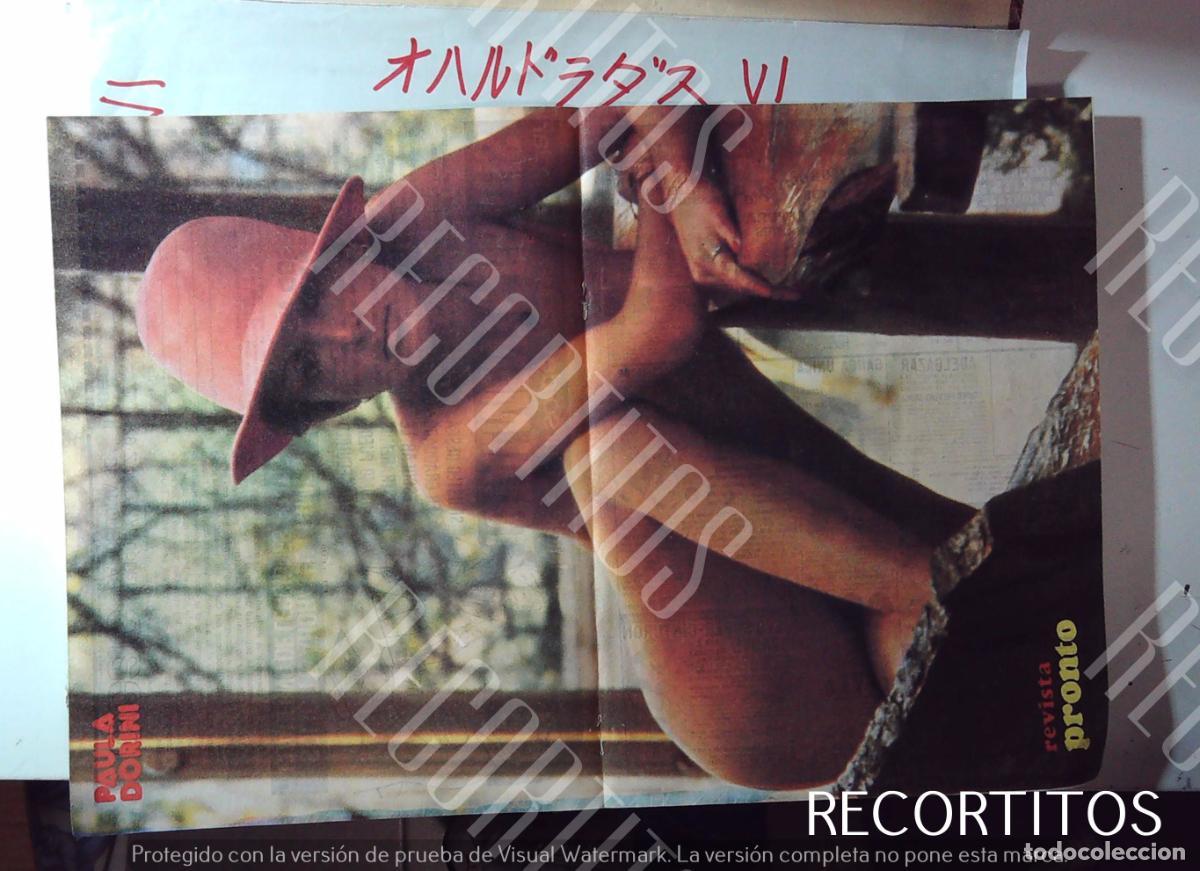 Musiksammlung: PAULA DORINI POSTER PRONTO