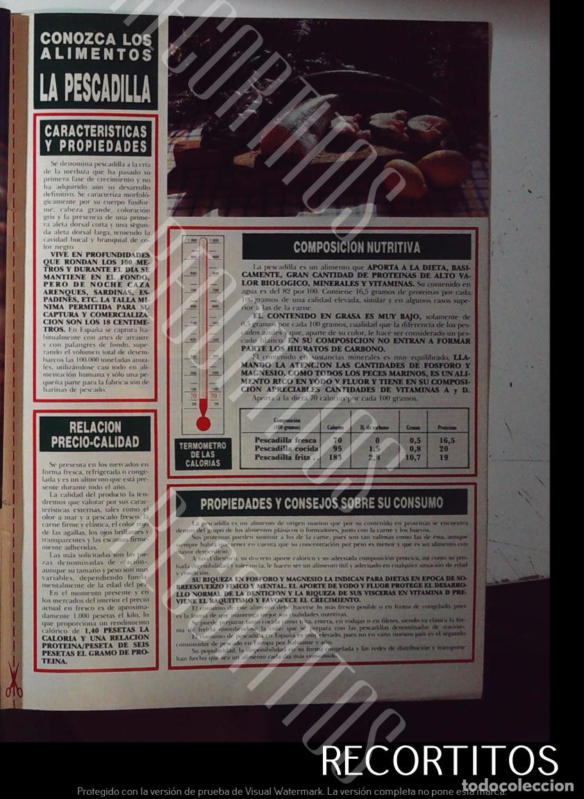 Musiksammlung: CONOZCA LOS ALIMENTOS LA PESCADILLA