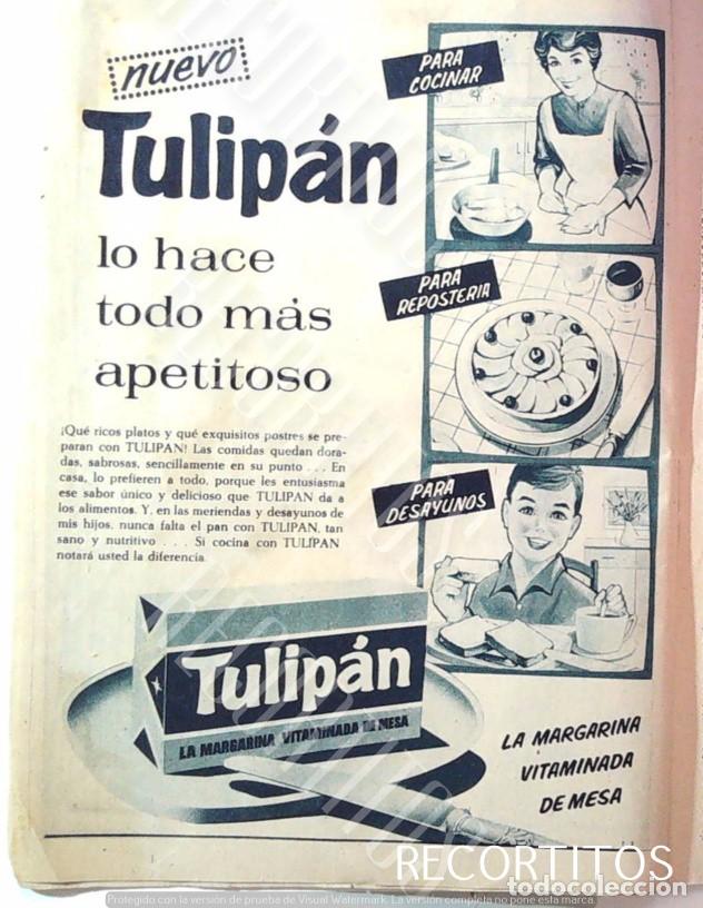 M&uacute;sica de cole&ccedil;&atilde;o: tulipan anuncio publicidad