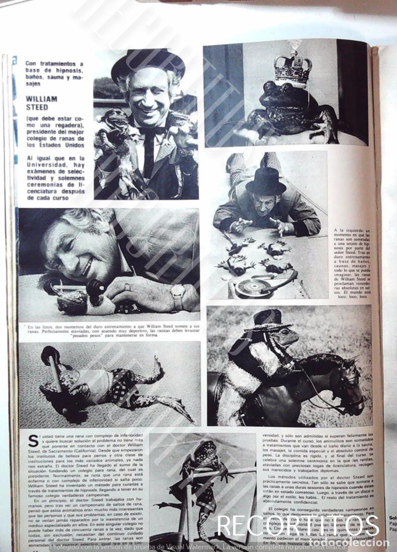Musique de collection: WILLIAM STEED ENTRENADOR DE RANAS