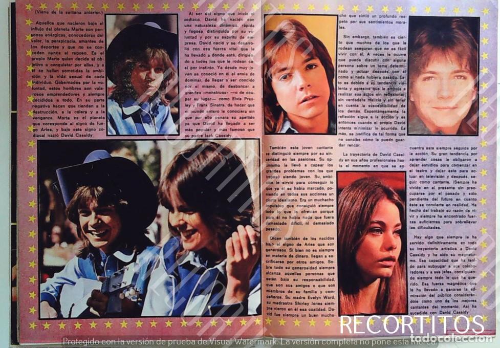 M&uacute;sica de colecci&oacute;n: DAVID CASSIDY CASIDY SHAUN - Foto 1