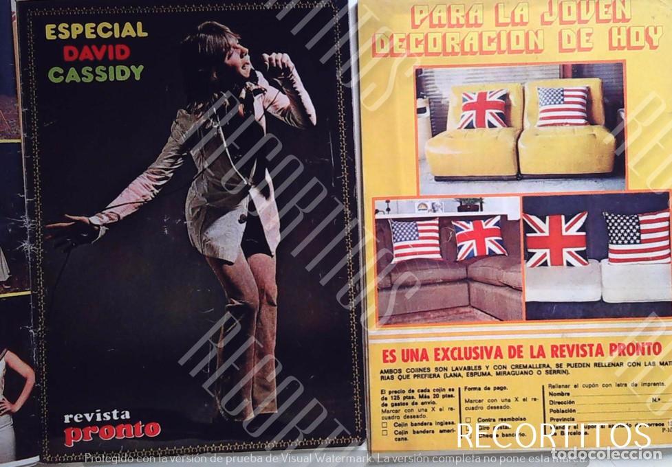 M&uacute;sica de colecci&oacute;n: DAVID CASSIDY CASIDY SHAUN - Foto 2