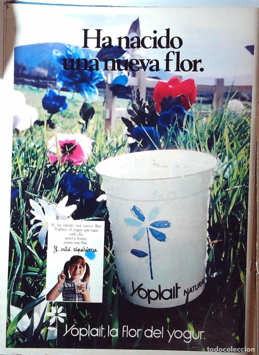 M&uacute;sica de colecci&oacute;n: YOPLAIT ANUNCIO PUBLICIDAD - Foto 1