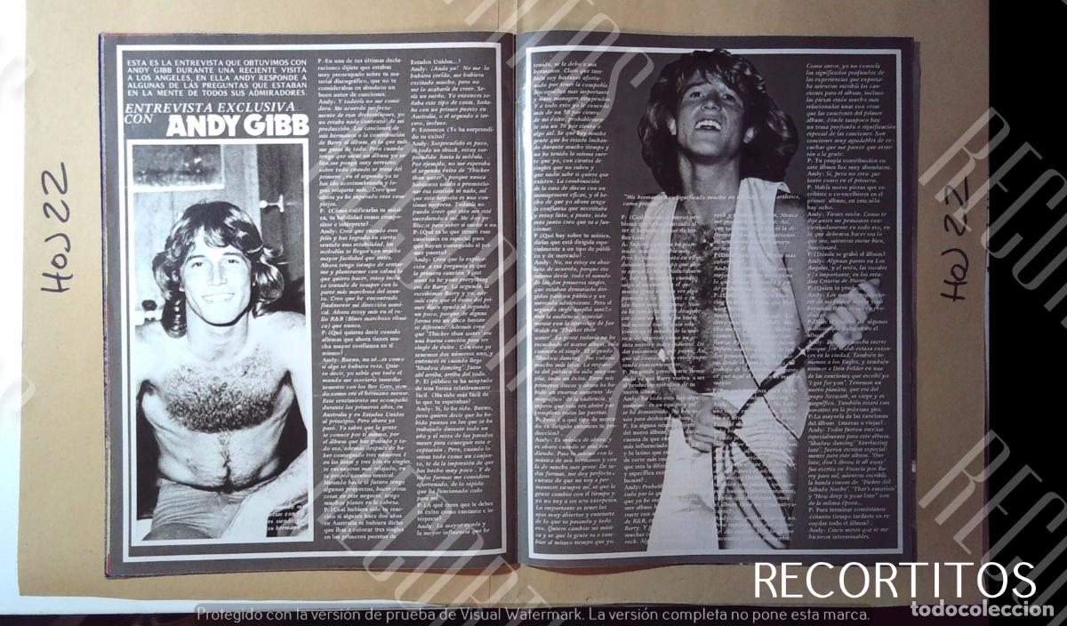 M&uacute;sica de colecci&oacute;n: ANDY GIBB THE BEE GEES BROTHER - Foto 1