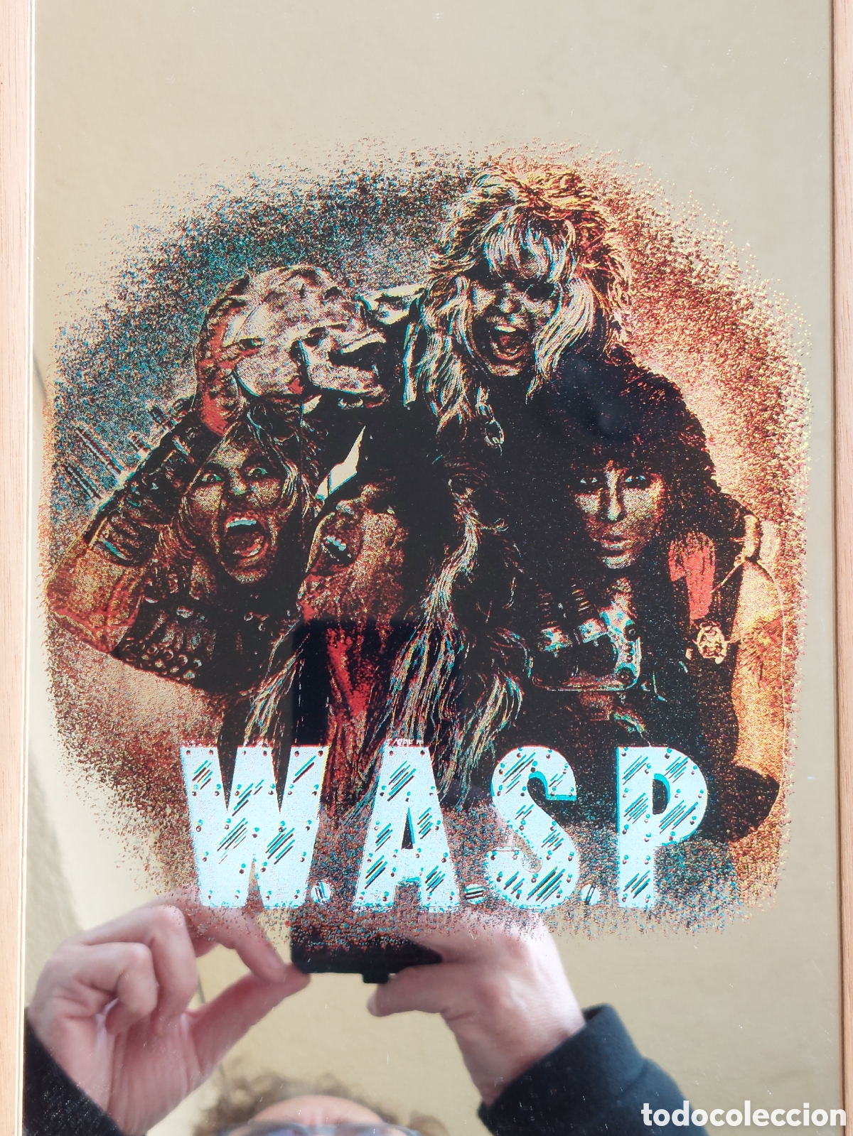 M&uacute;sica de colecci&oacute;n: W.A.S.P. Wasp cuadro espejo - Foto 1