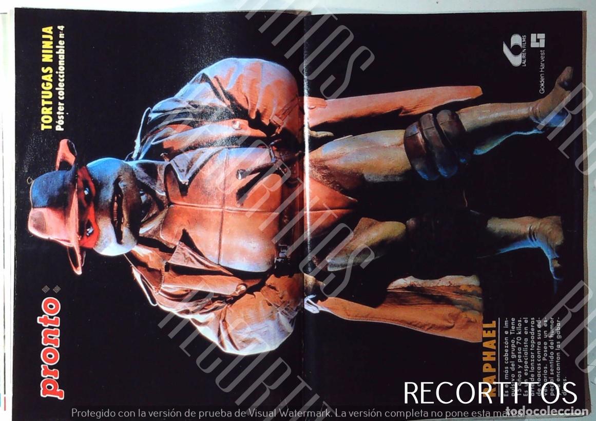 M&uacute;sica de colecci&oacute;n: POSTER LAS TORTUGAS NINJA RAPHAEL PRONTO - Foto 1