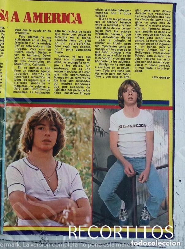 M&uacute;sica de colecci&oacute;n: LEIF GARRET GARET GARETT - Foto 1