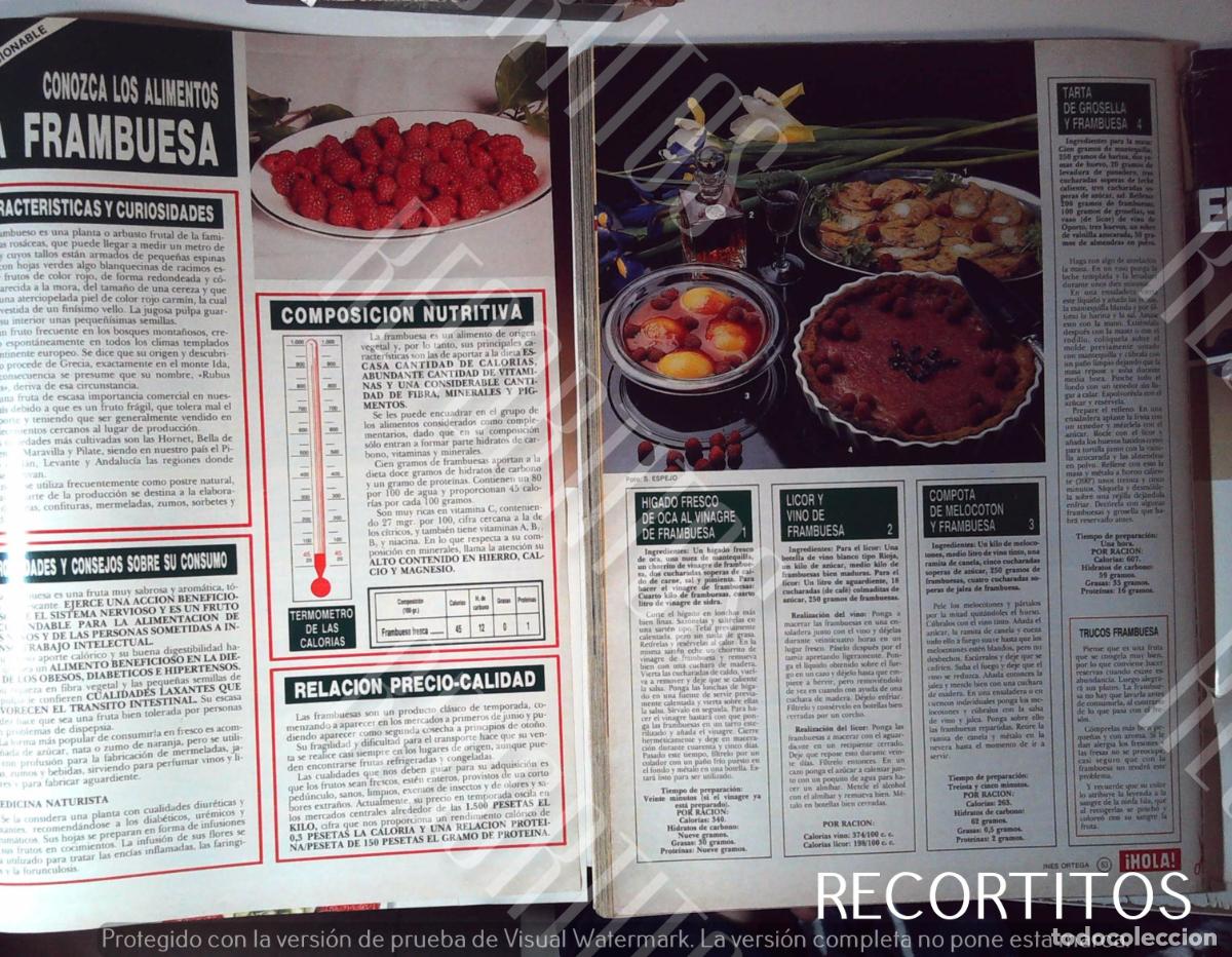 M&uacute;sica de colecci&oacute;n: LA FRAMBUESA CONOZCA LOA ALIMENTOS - Foto 1
