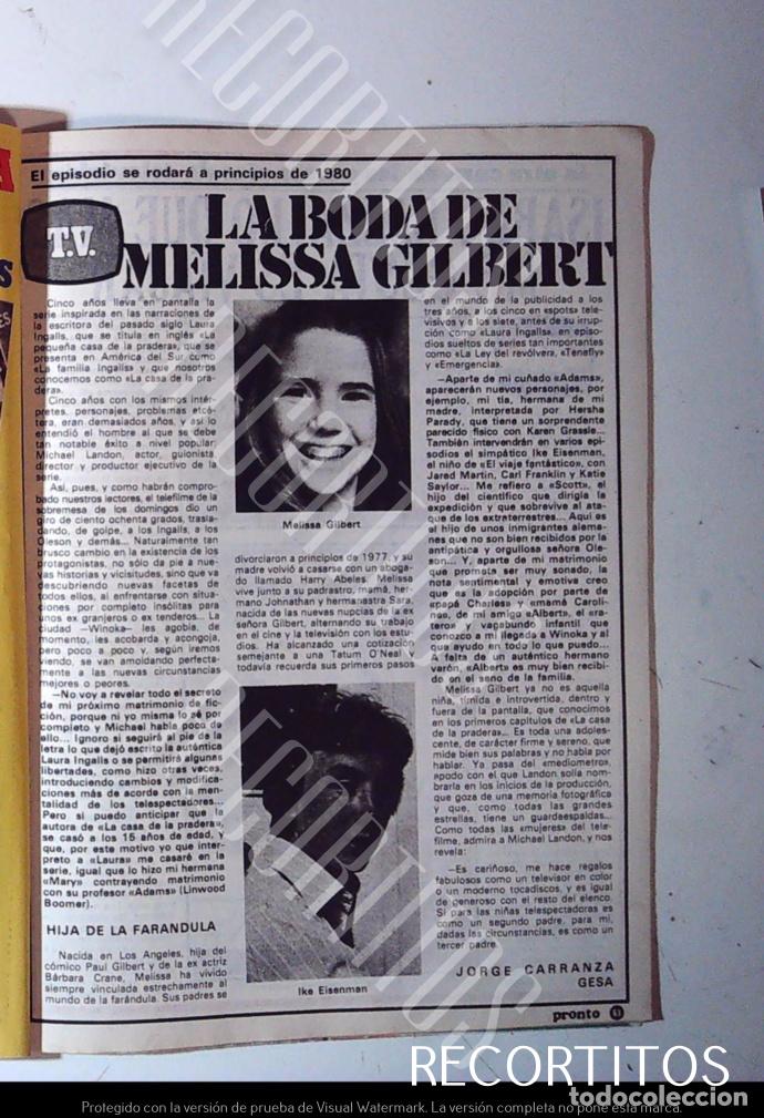 M&uacute;sica de colecci&oacute;n: melissa gilbert la casa de la pradera IKE EISSENMAN - Foto 1