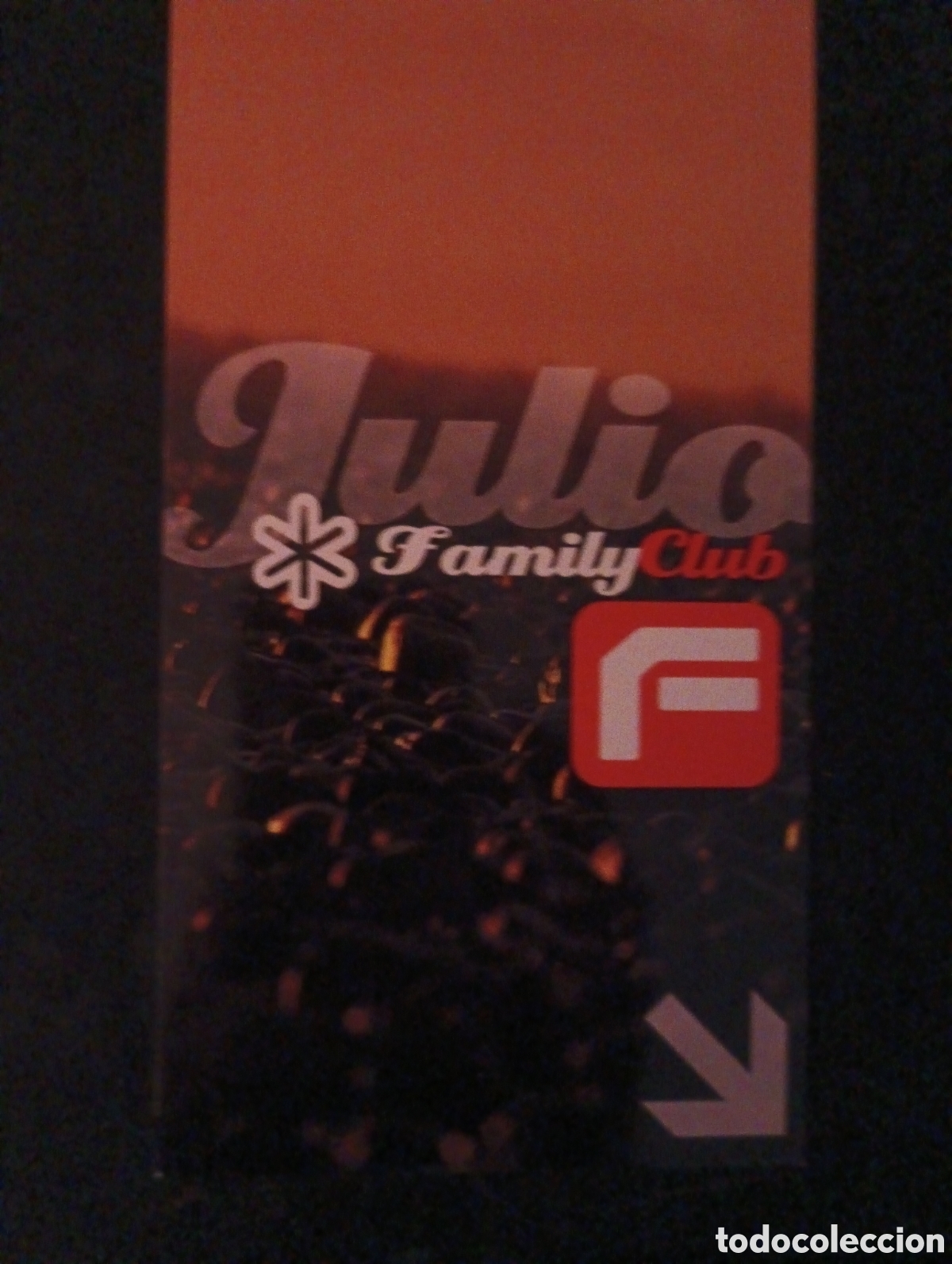 M&uacute;sica de colecci&oacute;n: Flyer Family Toledo 2003