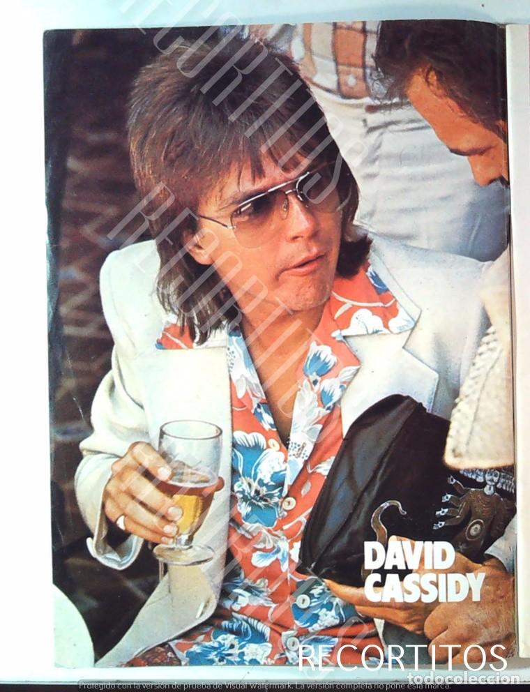 M&uacute;sica de colecci&oacute;n: DAVID CASSIDY PIN UP MINI POSTER