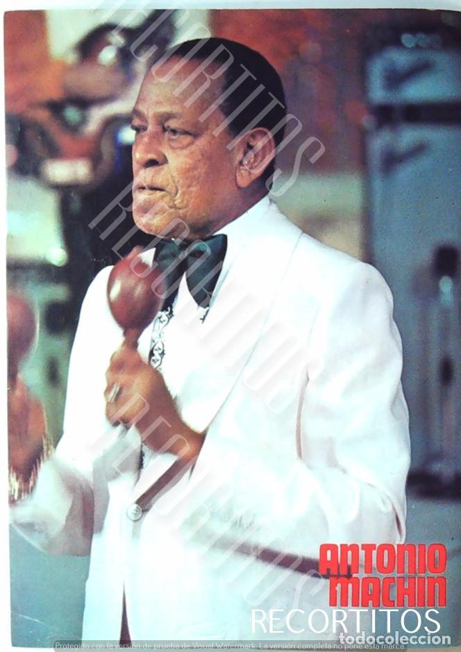 Musica di collezione: ANTONIO MACHIN PIN UP MINI POSTER