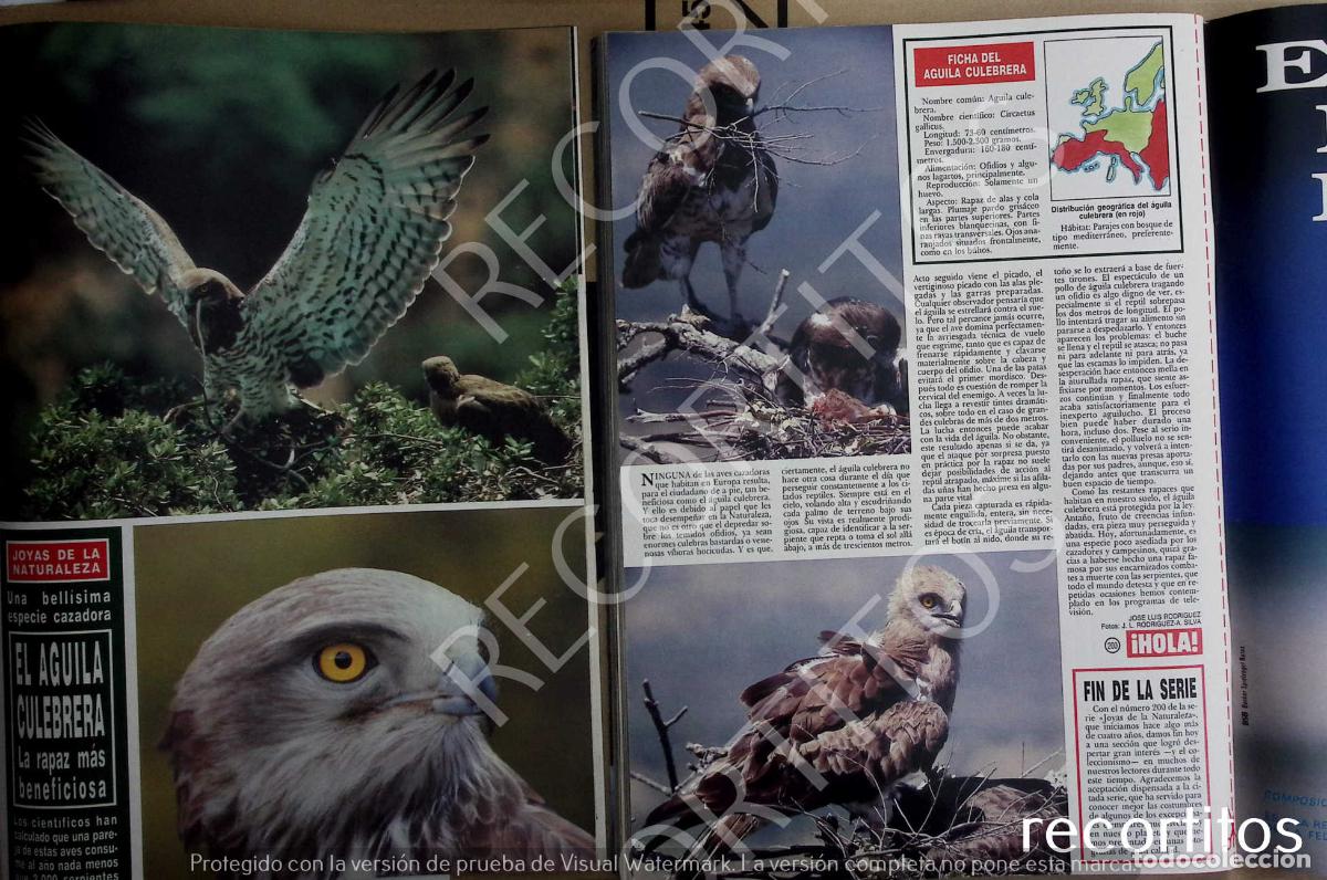 M&uacute;sica de colecci&oacute;n: JOYAS DE LA NATURALEZA EL AGUILA CULEBRERA
