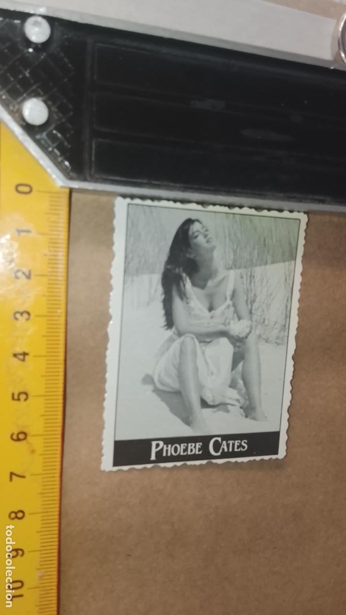 M&uacute;sica de colecci&oacute;n: musica - cromo o similar carton troquelado - cantantante - PHOEBE CATES