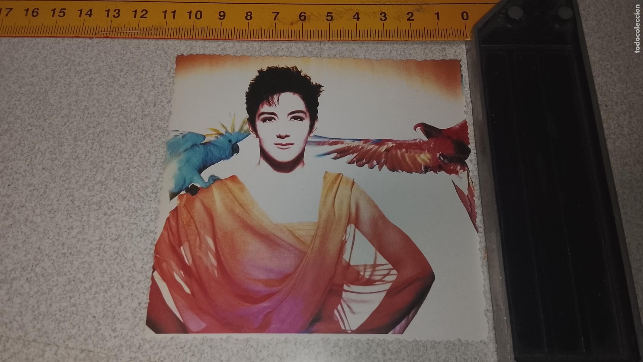 M&uacute;sica de colecci&oacute;n: musica - CROMOS o similar DE PAPEL troquelado CANTANTES - MECANO