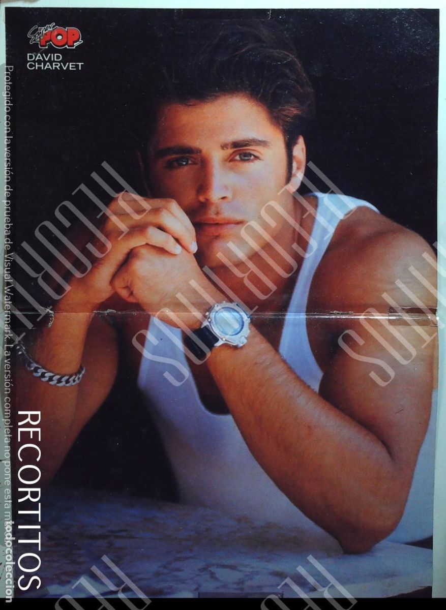 M&uacute;sica de colecci&oacute;n: POSTER DAVID CHARVET TAKE THAT VER FOTOS