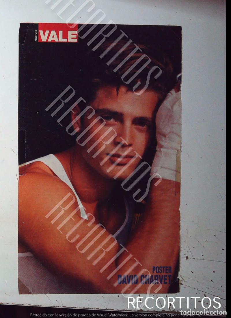 M&uacute;sica de colecci&oacute;n: POSTER DAVID CHARVET VER FOTOS