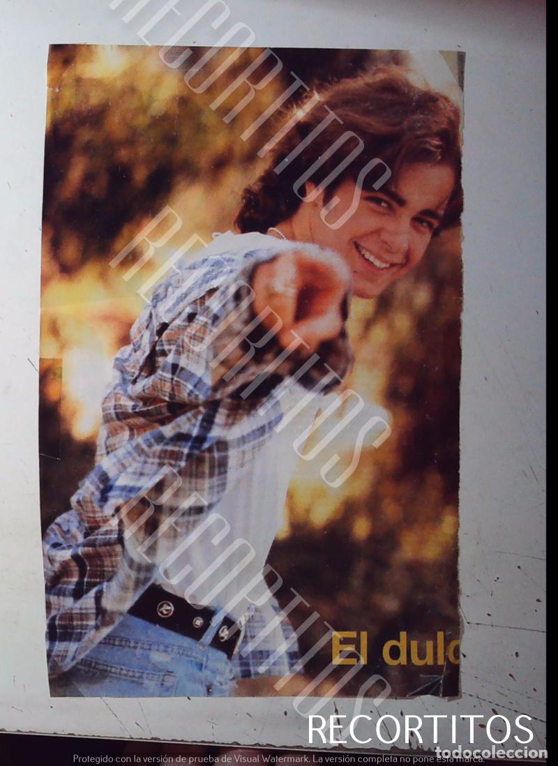 M&uacute;sica de colecci&oacute;n: JOEY LAWRENCE BLOSSOM