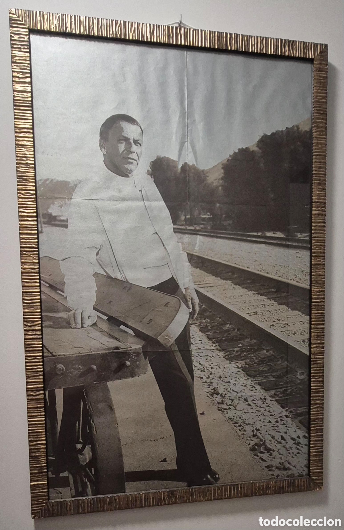 M&uacute;sica de colecci&oacute;n: FRANK SINATRA POSTER ENMARCADO