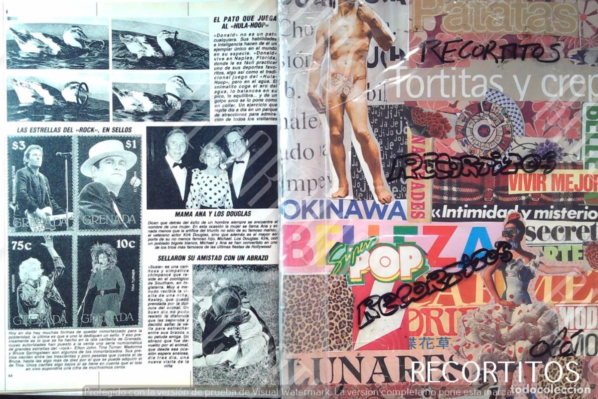 M&uacute;sica de colecci&oacute;n: MADONNA TINA TURNER ELTON JOHN BRUCE SPRINGSTEEN KIRK MICHEL DOUGLAS