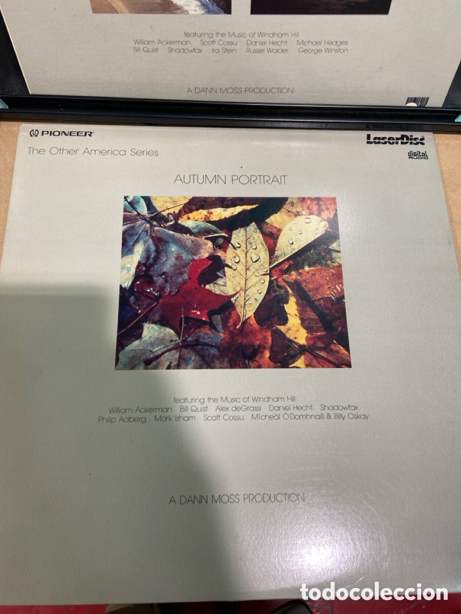 M&uacute;sica de colecci&oacute;n: Laser Disc. Lote 2 uds. The other america series