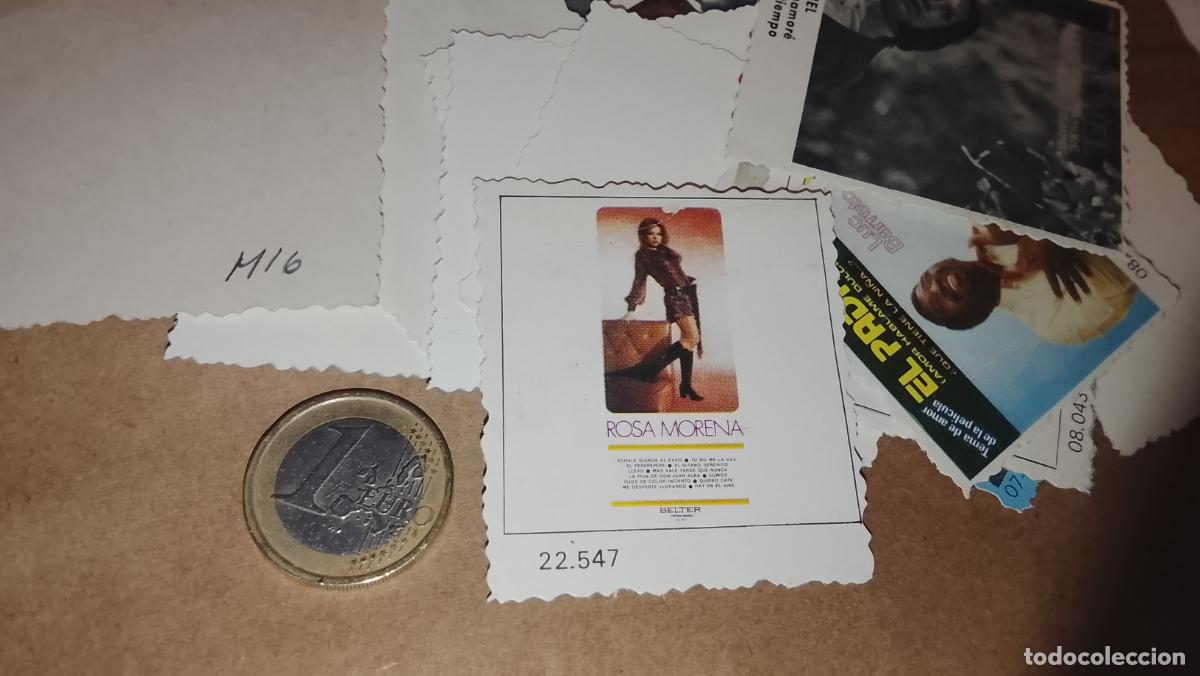 M&uacute;sica de colecci&oacute;n: musica - CROMO o similar carton PAPELG GRUESO troquelado CANTANTES O GRUPO - ROSA MORENA