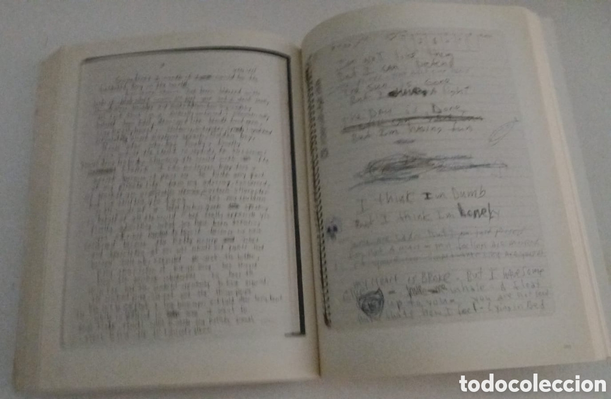 M&uacute;sica de colecci&oacute;n: KURT COBAIN. JOURNALS - Foto 5