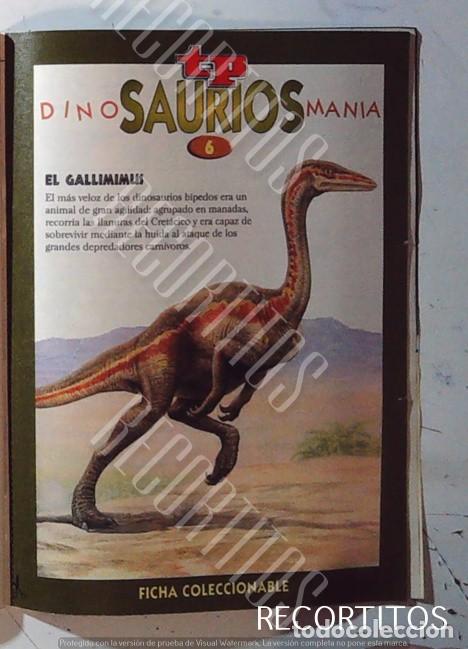 M&uacute;sica de colecci&oacute;n: FICHA DINOSAURIOS EN TP TELEPROGRAMA JURASSIC PARK FICHA 6 EL GALLIMIMLIS