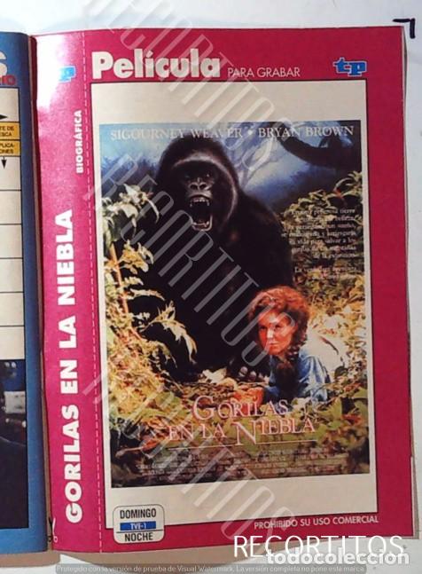 M&uacute;sica de colecci&oacute;n: GORILAS EN LA NIEBLA SIGOURNEY WEAVER JULIE HARRIS MICHAEL APTED