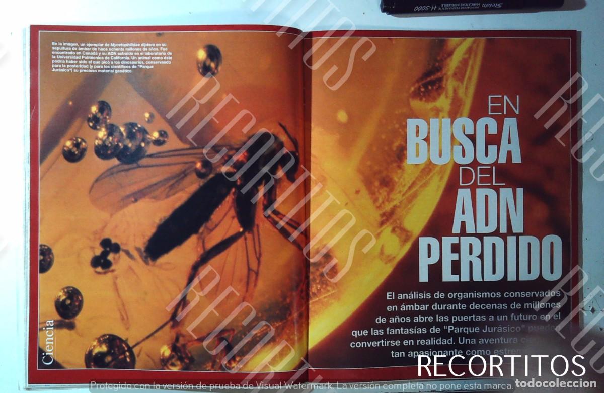 M&uacute;sica de colecci&oacute;n: steven spielberg jurassic park - Foto 2