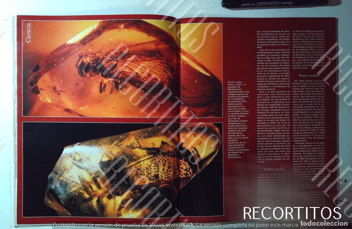 M&uacute;sica de colecci&oacute;n: steven spielberg jurassic park - Foto 4
