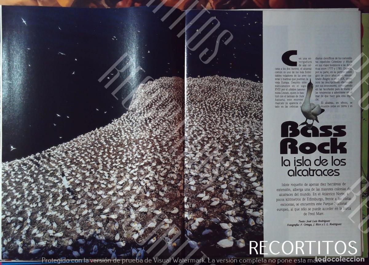 M&uacute;sica de colecci&oacute;n: bass rock la isla de los alcatraces