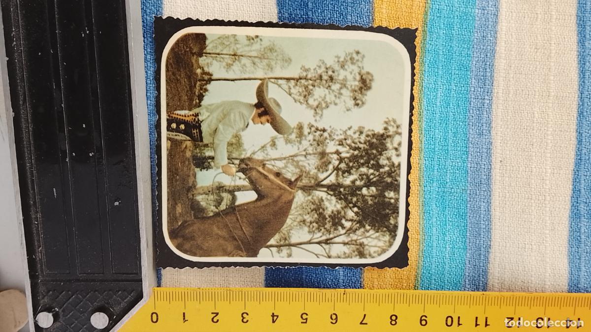 M&uacute;sica de colecci&oacute;n: musica - CROMO o similar DE CARTON ANTIGUO troquelado CANTANTES collage alejandro fernandez