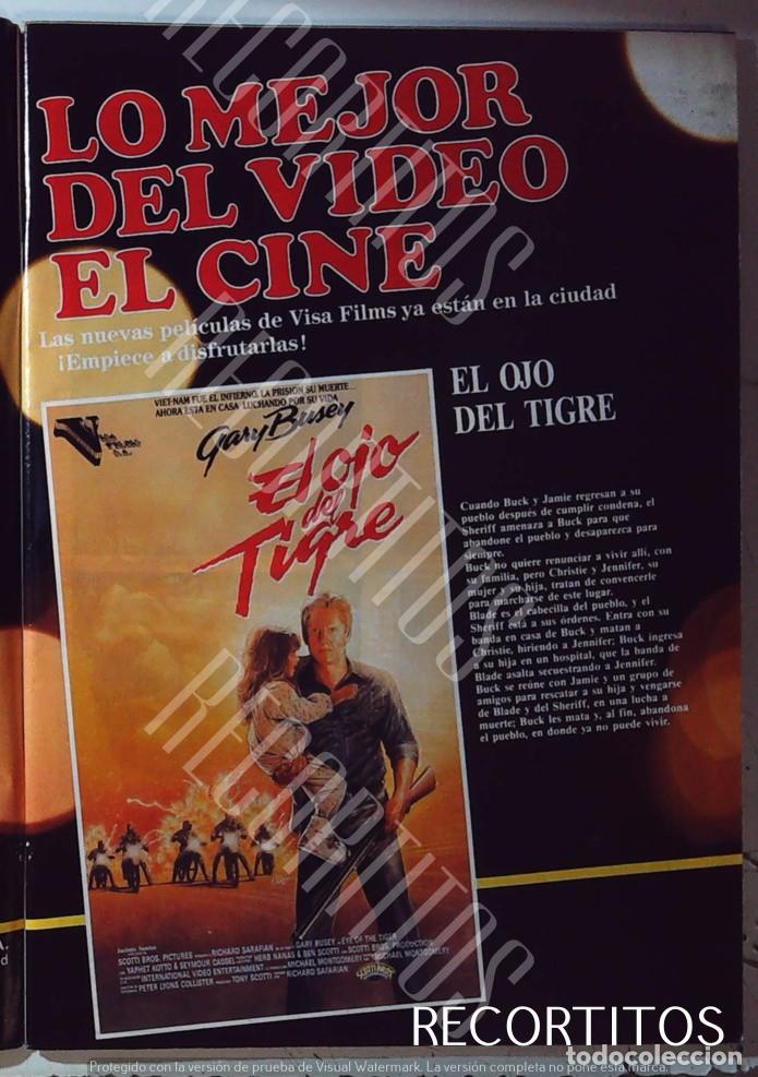 M&uacute;sica de colecci&oacute;n: el ojo del tigre gary busey